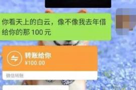 黔西如何避免债务纠纷？专业追讨公司教您应对之策